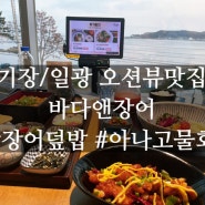 기장일광 아기랑맛집 바다앤장어 장어덮밥 아나고물회 오션뷰