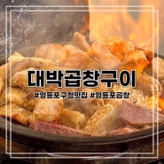 [영등포] 영등포구청역 또또 또 간 집! 야장 가능한 소 곱창 노포 맛집 대박곱창구이