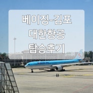 대한항공 KE2201 KE2202 베이징-김포 직항 탑승후기 | 중국 입국신고서 작성법