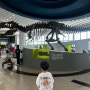 경기도 아이와 가볼만한곳, 국립과천과학관 티라노사우루스 공룡 화석 전시