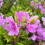 합천 [황매산] 우중산행 등산최단코스 산청철쭉제
