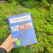 [서평] 기적의 분실함(한솔수북 선생님 동화 공모전 대상)