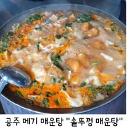 [공주 맛집] 공주 메기 매운탕 맛집 "솥뚜껑 매운탕"