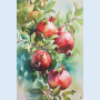 나무위의석류 pomegranates on tree #1