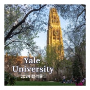 미국 아이비리그 Yale University 합격률 2024 [미국 대학]