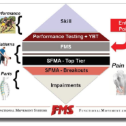 [방배동PT, 방배역PT] 기능적 움직임 시스템(FMS) Functional Movement Systems