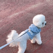 두랑루랑 데일리 아노락 하네스 강아지 산책용 바람막이