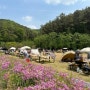 무봉산 자연휴양림 예약 및 주차 정보 당일치기 캠핑할 수 있는 동탄 여행