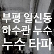 하수배관 크랙으로 아랫집 안방피해를 주었던 부평 일신동 누수탐지