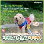 논현 방배 애견 호텔 스타몽 ㅣ 말티푸 미키의 강아지 호텔링 후기!