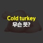 [뇌새김] Cold turkey 무슨 뜻? / 관련 예문까지!