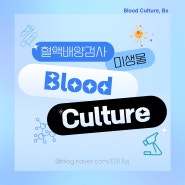 혈액배양검사, Blood Culture