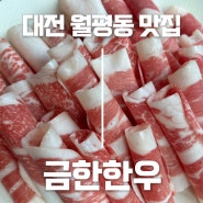 대전 월평동 맛집 차돌박이 정식 점심특선 최고 ‘금한한우’