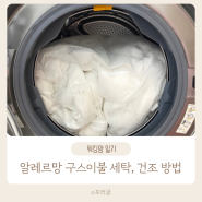 알레르망 구스이불 세탁 방법 구스다운 세탁법