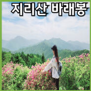 지리산 바래봉 정령치 출발 등산코스 [정령치-고리봉-세걸산-부운치-팔랑치] 용산주차장하산