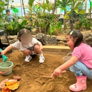 김해 카페 위드 자연과 함께 모래놀이도 즐기고 동물들도 만나요