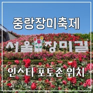 5월 서울 중랑장미축제 24.05.19. 주차 인스타 포토존 상세 위치 이벤트 정보