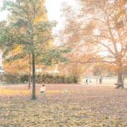 어느 가을의 브루클린 (후지 x100v)