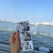 [서울 데이트] 일요일 한강 잠수교에서 열리는 뚜벅뚜벅 축제 방문+추천후기(한강 반포지구 주차 추천)