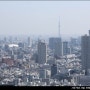 도쿄 갈만한곳 신주쿠 도쿄도청 전망대 45층 무료 입장
