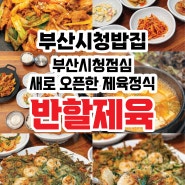 부산시청밥집 반할제육 점심으로 먹은 제육정식 솔직후기