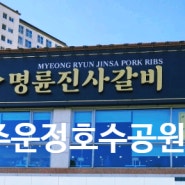 갈비맛집 [명륜진사갈비 파주운정호수공원점] 고기 테마파크♡