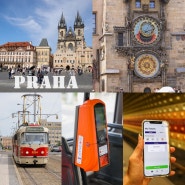 동유럽 체코 프라하 여행 대중교통 트램 요금, 현금인출