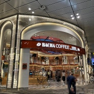 5월 발리 여행 후기 싱가포르 창이공항 경유, '바샤커피(BACHA COFFEE 1910)'(선물추천/추천커피종류/내돈내산)