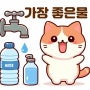 고양이에게 가장좋은물은 수돗물 생수 정수 중에 어떤것일까?