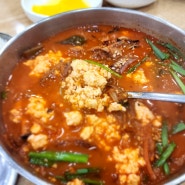 강릉 웨이팅맛집 동화가든 짬뽕순두부, 소나무집 순두부젤라또