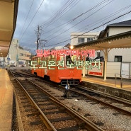 일본 마쓰야마 노면전차로 도고온천 가는 방법, 이용 요금, 타는 방법