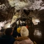 슬로베니아 포스토이나 동굴 - 위치, 준비물, 소요시간