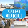 OZ118 아시아나 인천 오사카 기내식 A330-300 좌석, 비지트재팬웹 후기