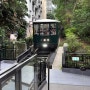 [홍콩] 피크 트램 山頂纜車 The Peak Tram / 빅토리아피크 / 홍콩명소 / 여행추천