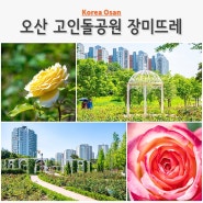 오산 가볼만한곳 고인돌공원 장미뜨레와 조수미 in Love 5월 오산 공연