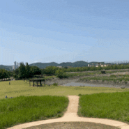 서울근교 강아지 주말나들이 하기 좋은ㅣ 시흥 갯골생태공원