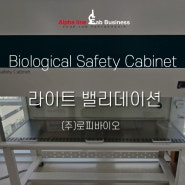 [밸리데이션] 생물안전작업대 (Biological Safety Cabinet) IQ OQ 적격성평가 Lite Validation 라이트 밸리데이션 - (주)로피바이오