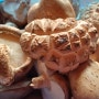 표고버섯 냉동및건조 보관법