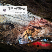 태백 용연동굴 관람 입장료 열차 시간 정보