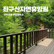 충북여행 좌구산자연휴양림 가성비 단체 독채숙소 국자별 객실