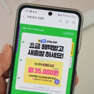 네이버페이 제공으로 더욱 합리적인 LG 유플러스 5G 무제한 요금제 살펴보기