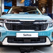 기아 셀토스 1.6터보 시그니처 둘러보기(옵션 / 가격 / 제원) 첫차, 소형 SUV 추천
