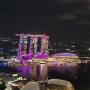 보라빛 싱가포르 야경
