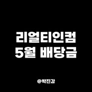 리얼티인컴 O 5월 배당금 기록 - 매월 용돈 주는 효자 종목
