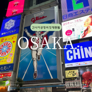 일본 오사카 여행 준비 일본 입국심사 비짓재팬웹 등록 방법