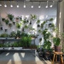 용인 식물 카페, 싱그러움 충전 정원생활 바이 오랑쥬리
