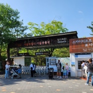 서울대공원 동물원 주차장 가까운곳 위치 추천
