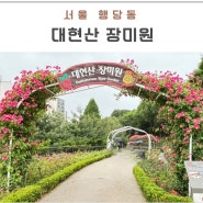 2024 서울 장미 명소 성동구 대현산 장미원 주차 만두전빵 맛집