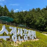 부산 수정산꿈자람터 아이와가볼만한곳 바다뷰 초대형놀이터!