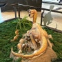 경남 아이와 가볼 만한 곳 고성 공룡박물관 부산근교여행